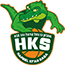 Hapoel Kfar Saba